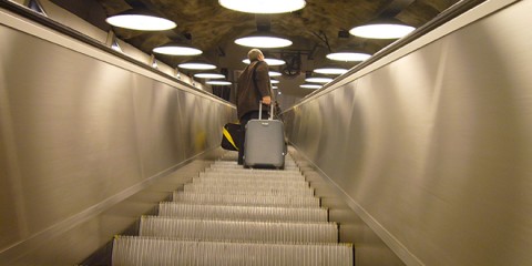 escalator conference